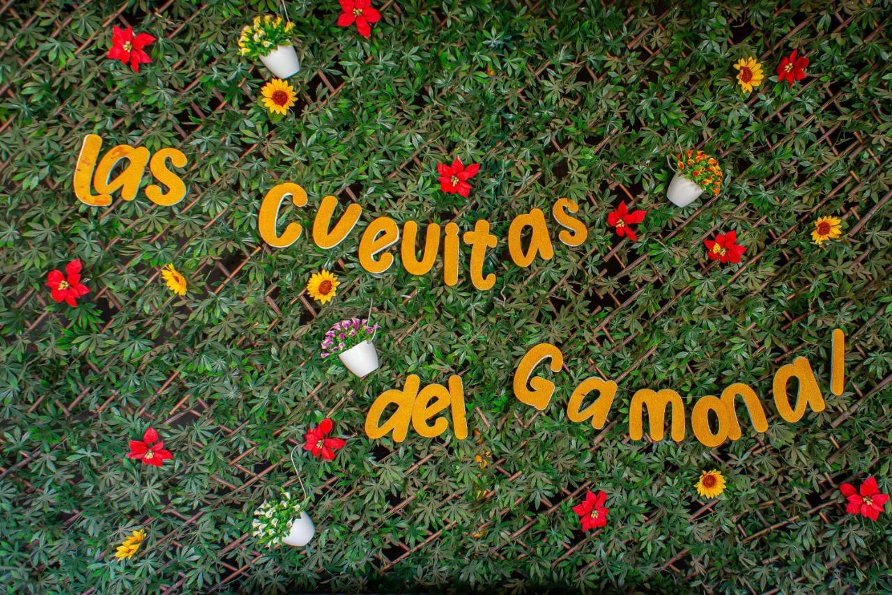 Las Cuevitas Del Gamonal Santa Brígida Zewnętrze zdjęcie